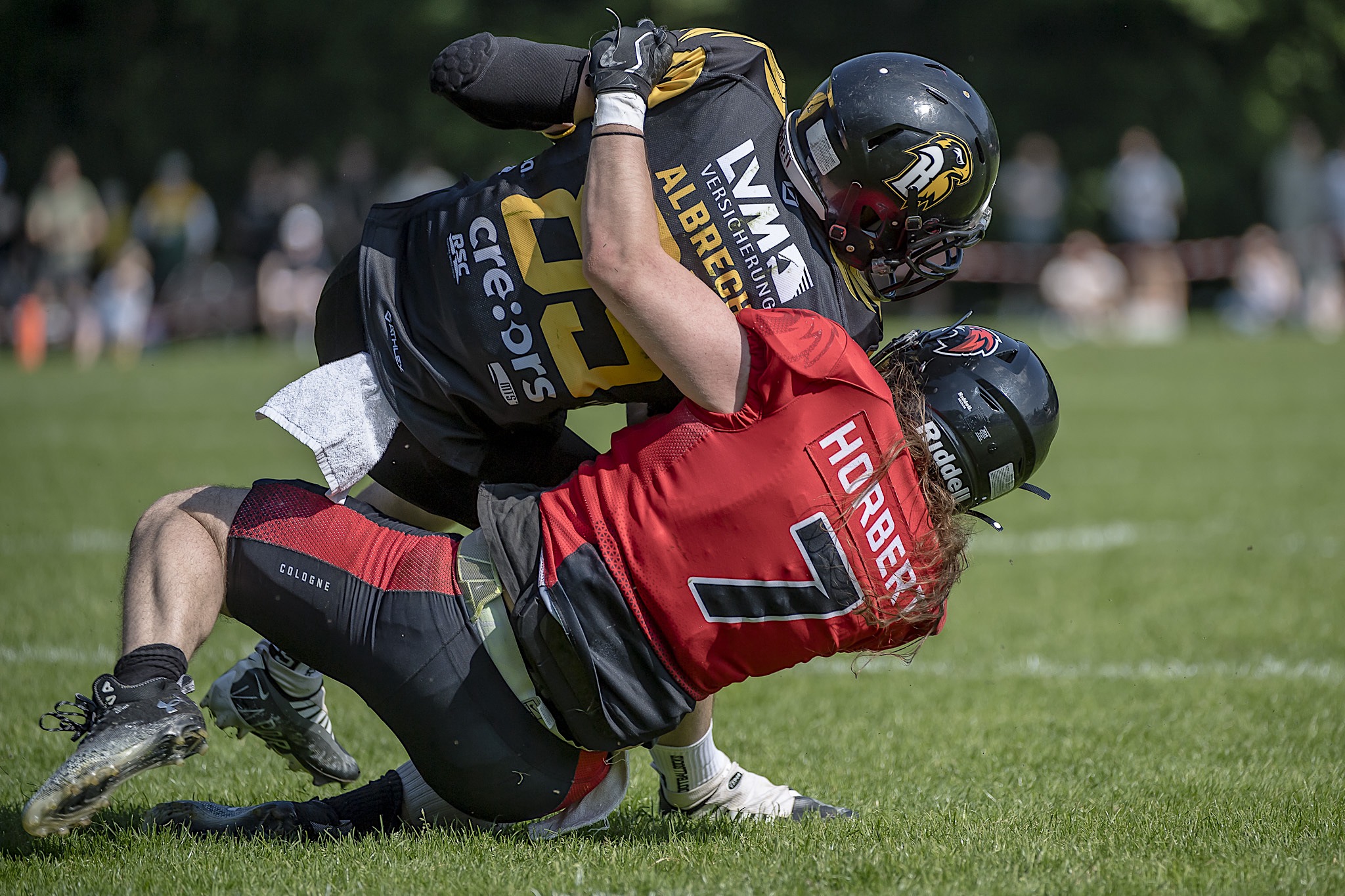 RL Münster Blackhawks vs Cologne Falcons 0111 11. Mai 2024